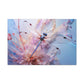 "Indigo Glider Dragonfly"  Canvas Stretched, 0.75" - Print