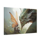 "Fire and Flutter"  Canvas Stretched, 0.75" - Print