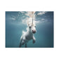 "Unicorns Aquatic Escapade"  Canvas Stretched, 0.75" - Print