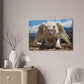 "Albino Skyroar"  Canvas Stretched, 0.75" - Print