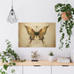 "Dragontailed Butterfly" Poster - Print