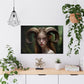 "Forest Faun" Poster - Print