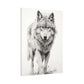 "Wolf Sketch" Canvas Stretched, 0.75" - Print