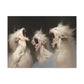 "Albino Werewolf Chorus"  Canvas Stretched, 0.75" - Print