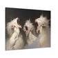 "Albino Werewolf Chorus"  Canvas Stretched, 0.75" - Print