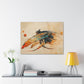 "Feather Fae Divebomb"  Canvas Stretched, 0.75" - Print