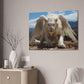 "Albino Skyroar"  Canvas Stretched, 0.75" - Print