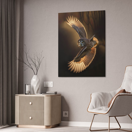 "Aerial Twister Owl" Canvas Stretched, 0.75" - Print