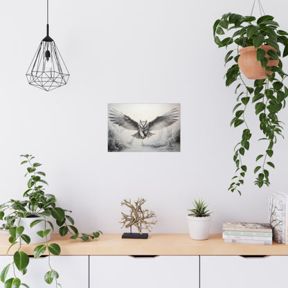 "Snowdrift Owl" Poster - Print