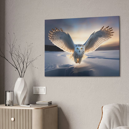 "Snow Owl" Canvas Stretched, 0.75" - Print