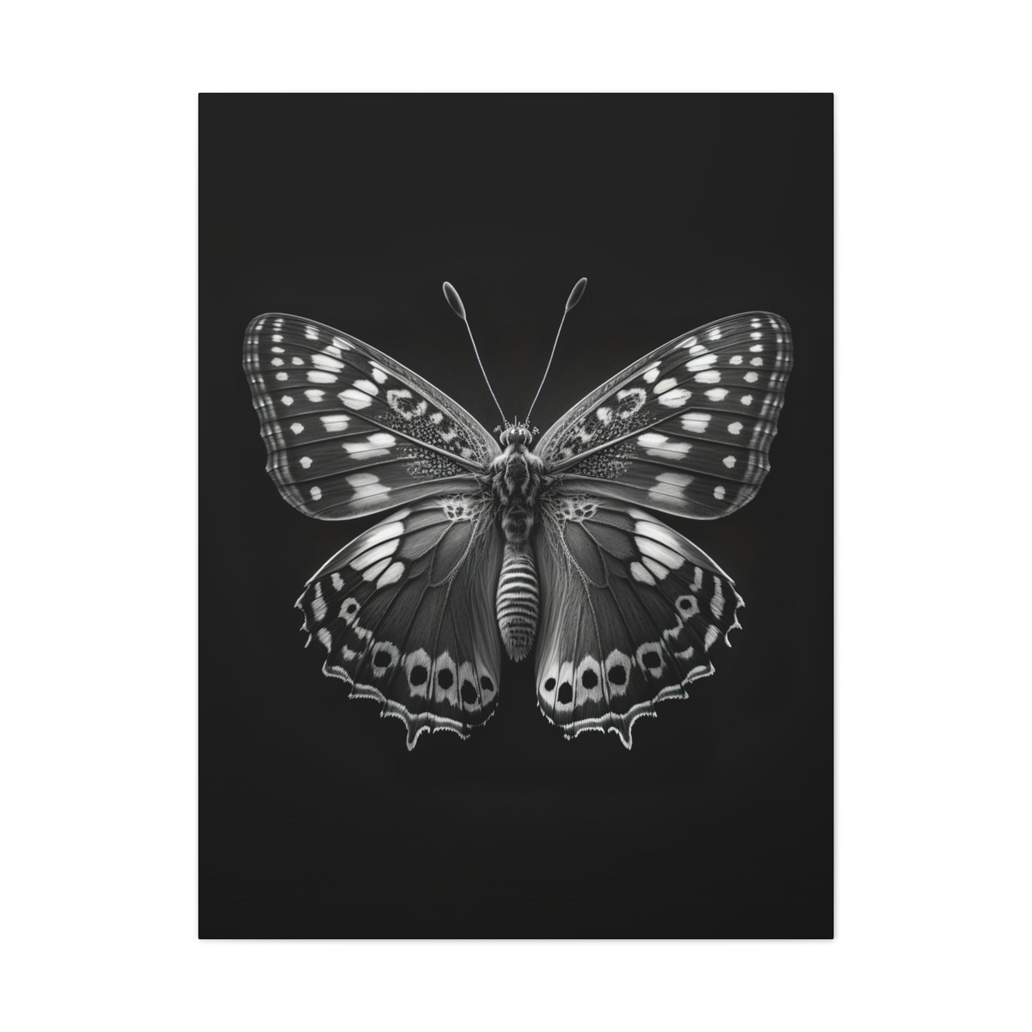 "Macro Monarch" Canvas Stretched, 0.75" - Print