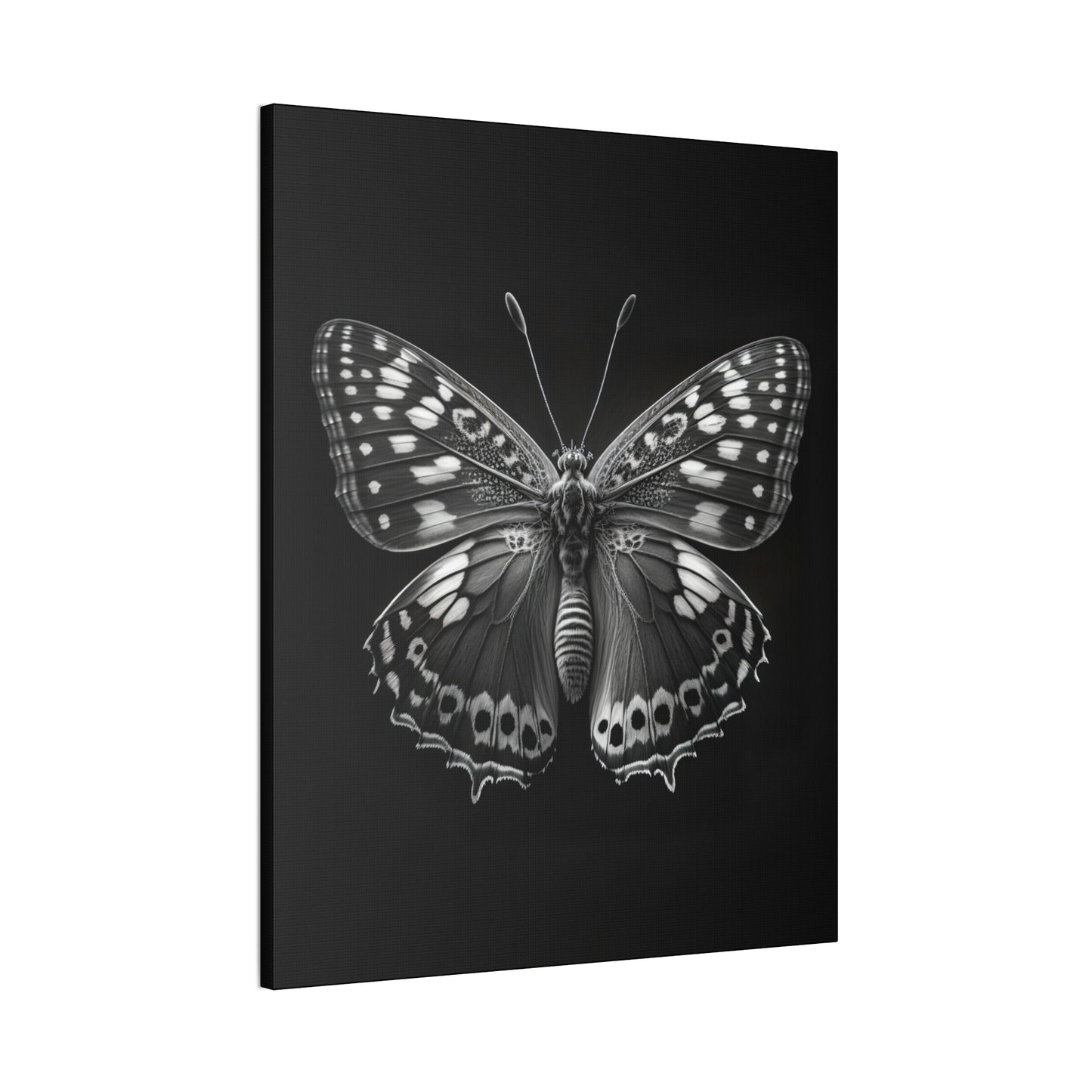 "Macro Monarch" Canvas Stretched, 0.75" - Print