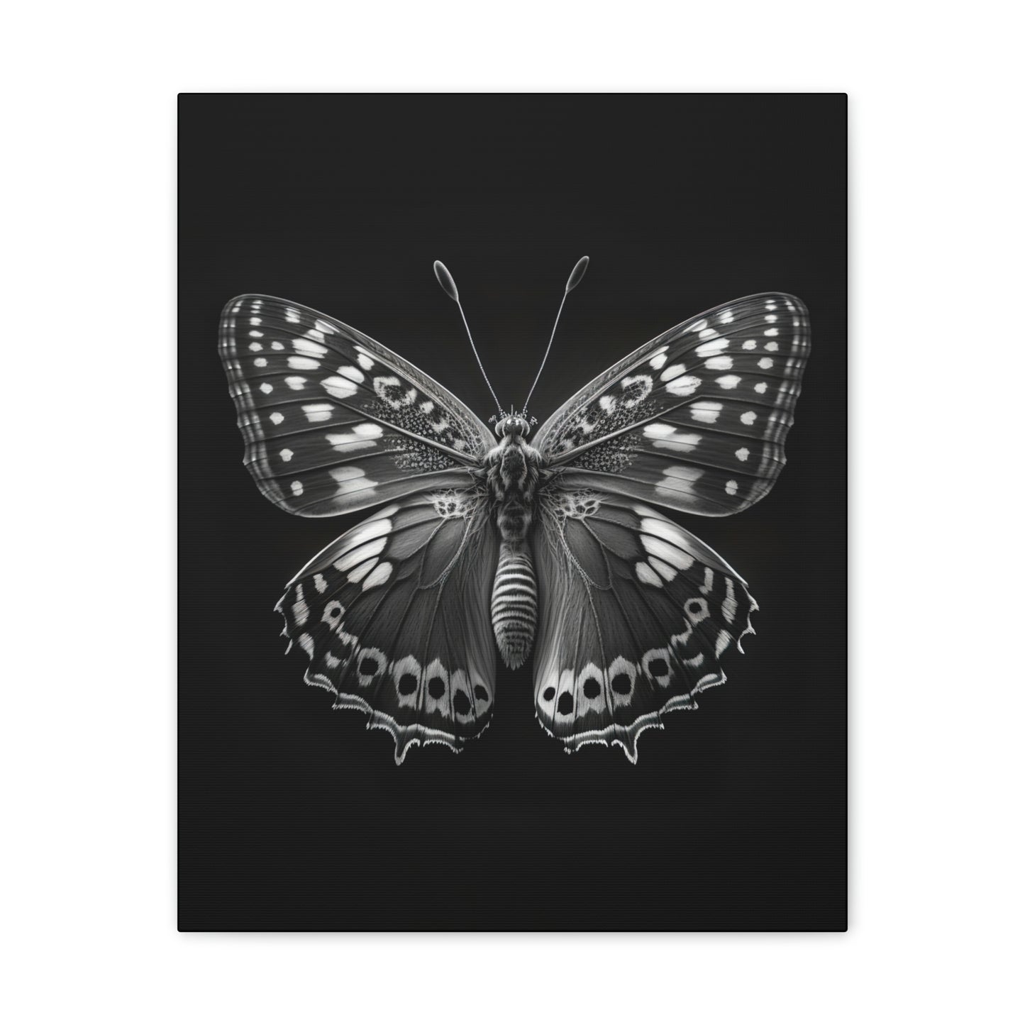 "Macro Monarch" Canvas Stretched, 0.75" - Print