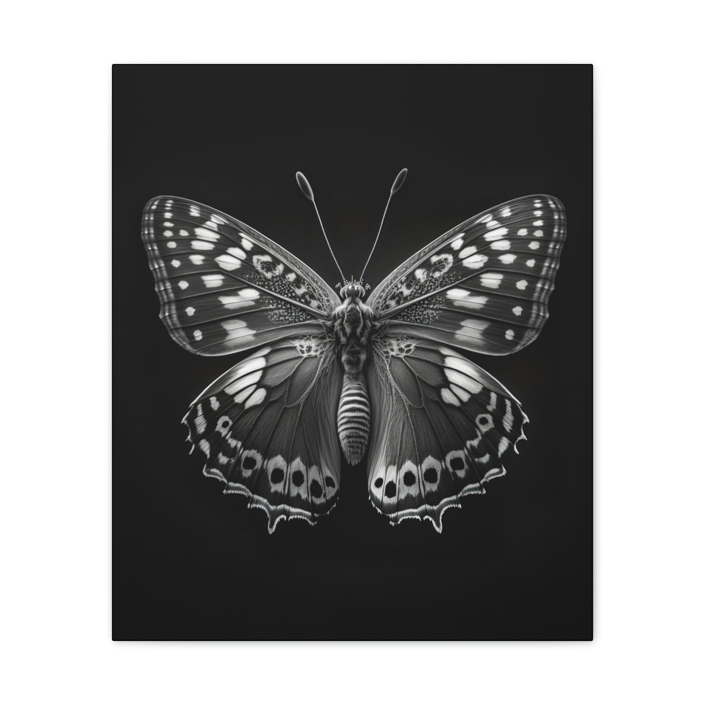 "Macro Monarch" Canvas Stretched, 0.75" - Print