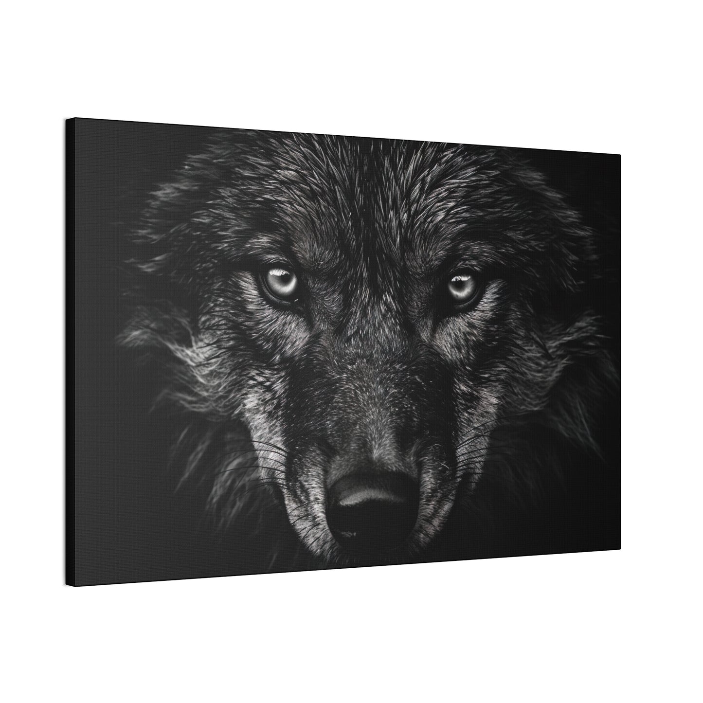 "Night Eyes"  Canvas Stretched, 0.75" - Print