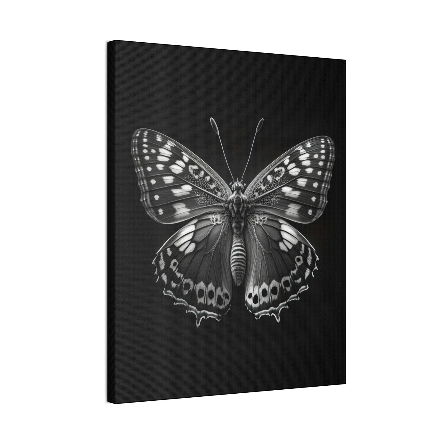 "Macro Monarch" Canvas Stretched, 0.75" - Print