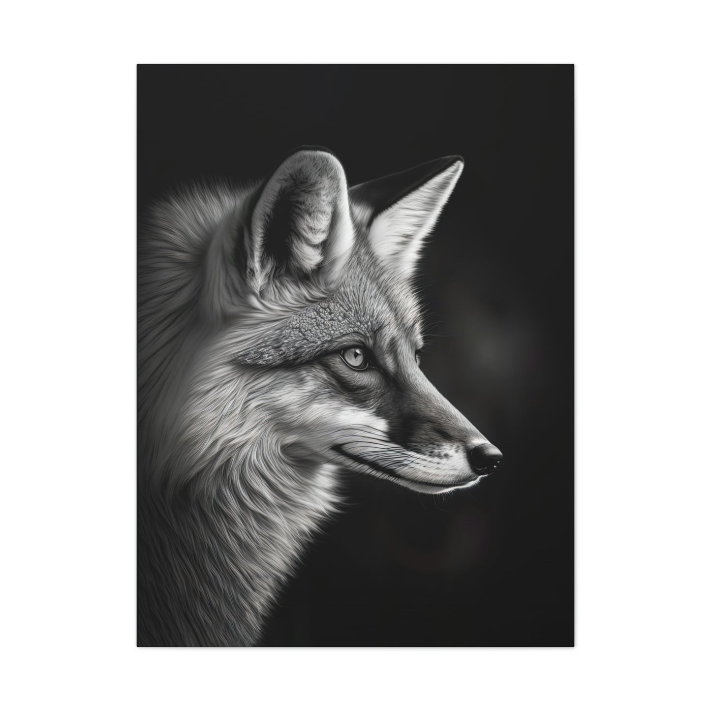 "OutFoxed" Canvas Stretched, 0.75" - Print