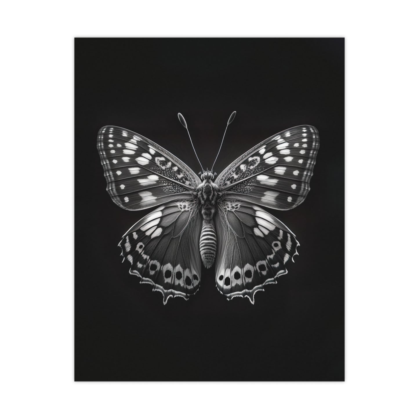 "Macro Monarch" Poster - Print