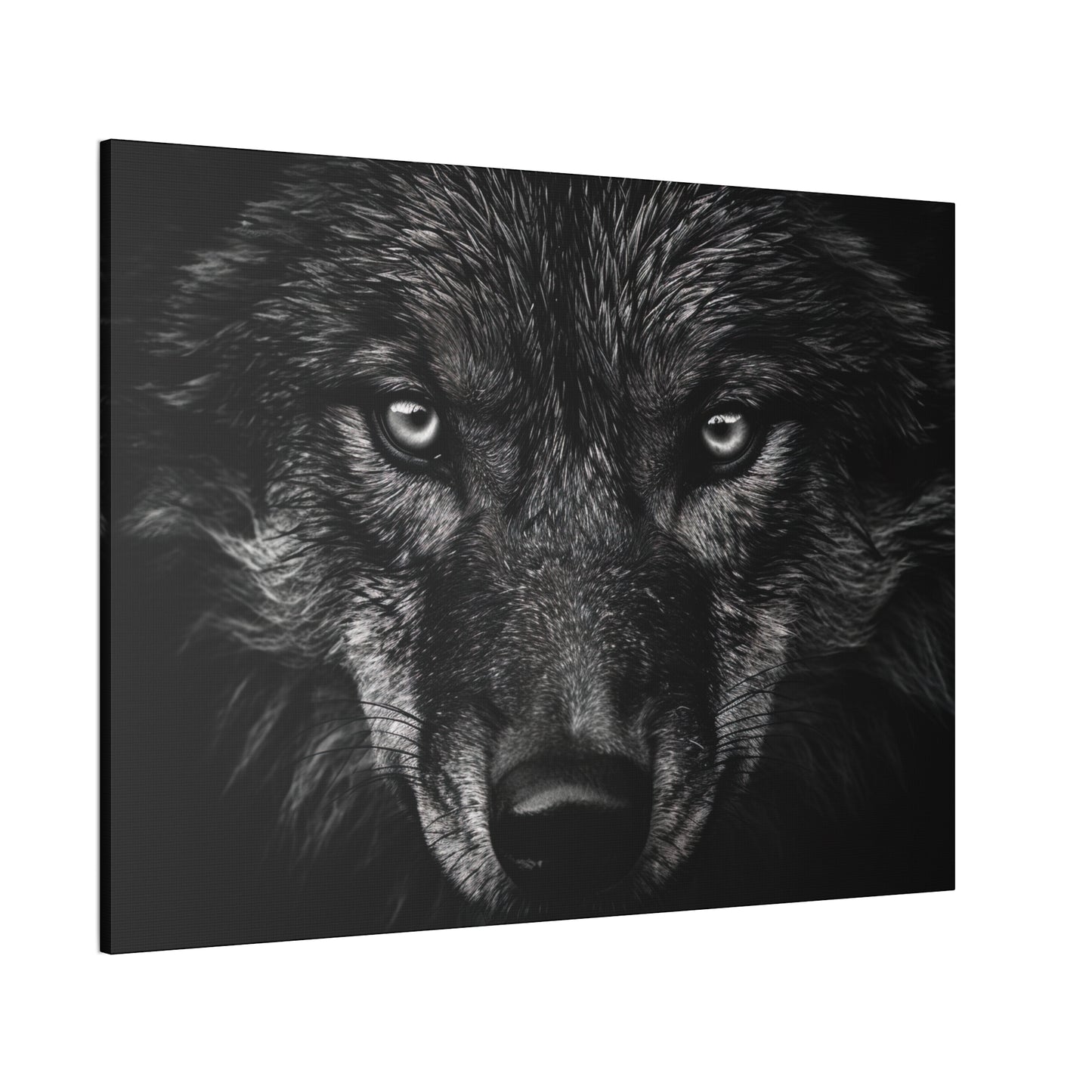 "Night Eyes"  Canvas Stretched, 0.75" - Print