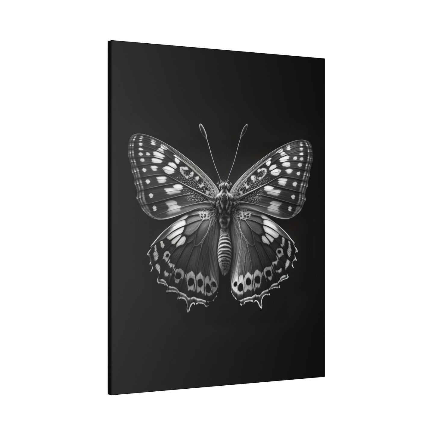 "Macro Monarch" Canvas Stretched, 0.75" - Print