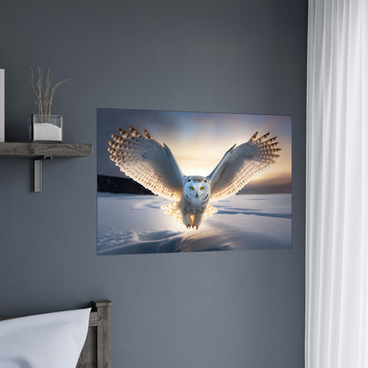 "Snow Owl" Poster - Print