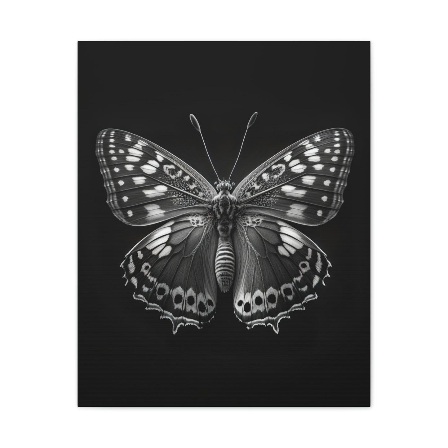 "Macro Monarch" Canvas Stretched, 0.75" - Print