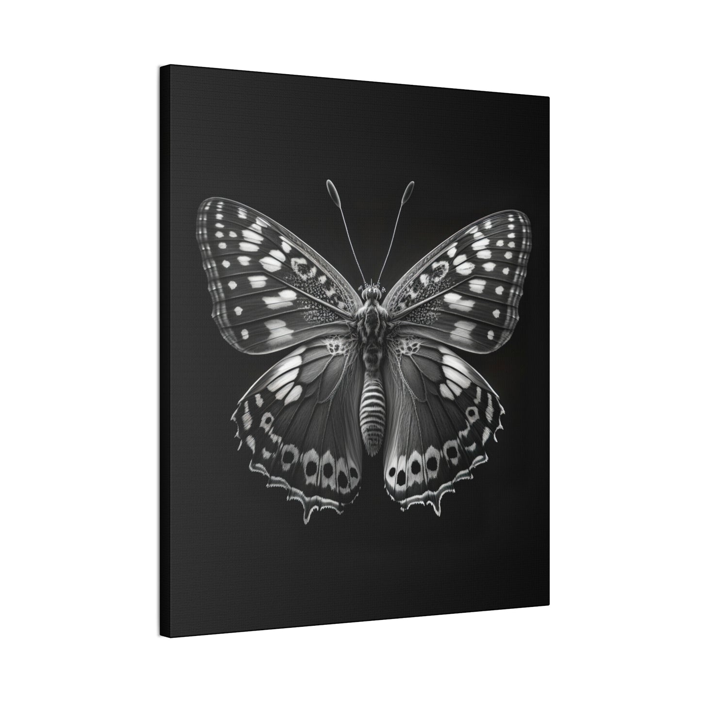 "Macro Monarch" Canvas Stretched, 0.75" - Print