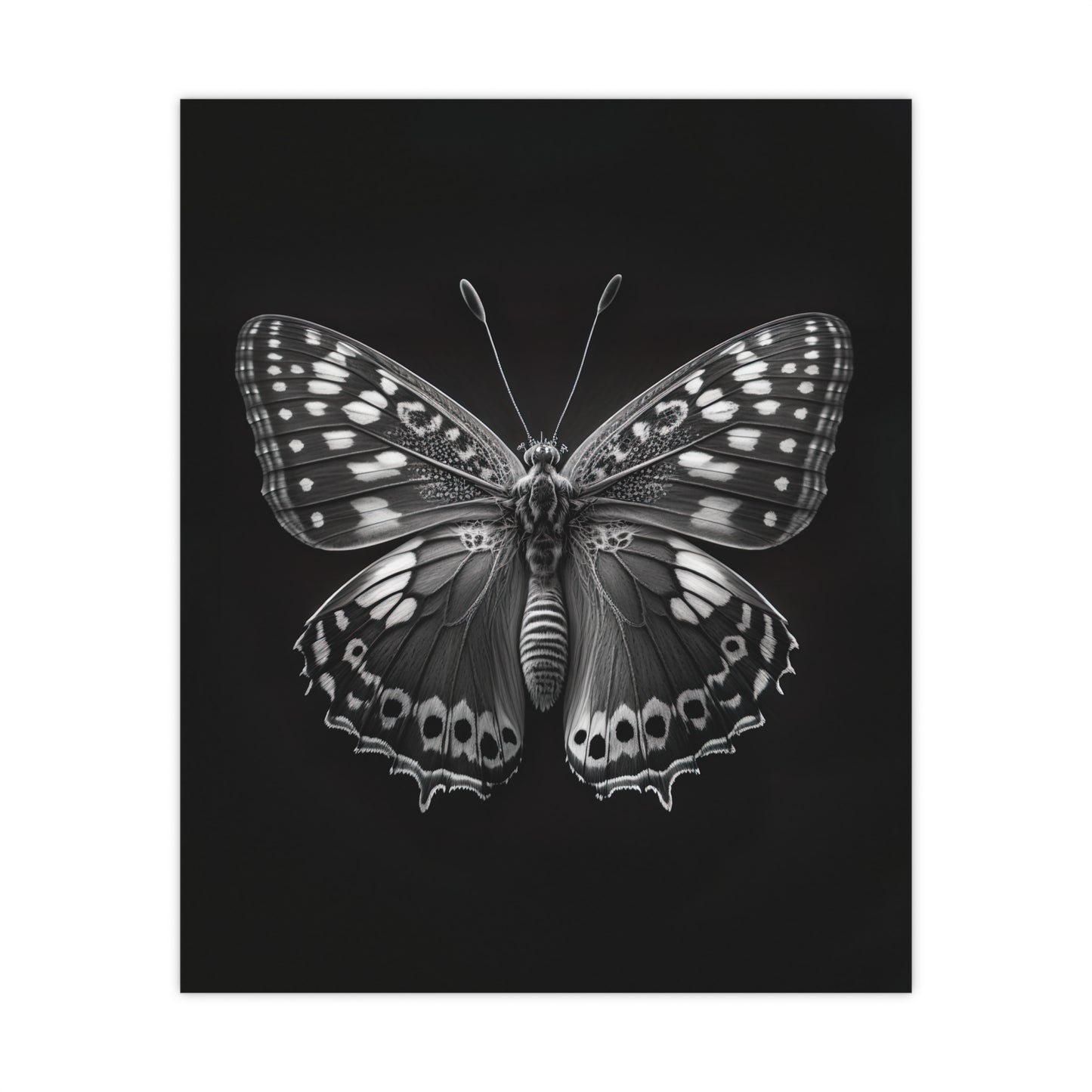 "Macro Monarch" Poster - Print