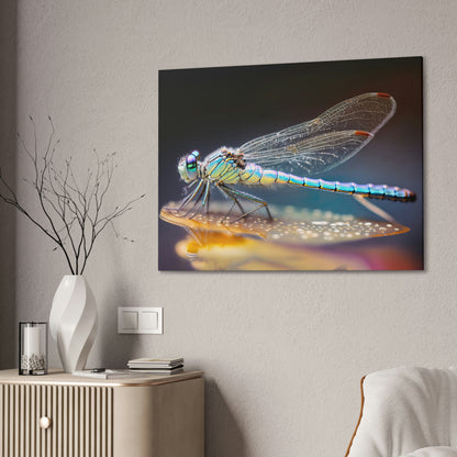 "Opal Dragonfly" Canvas Stretched, 0.75" - Print